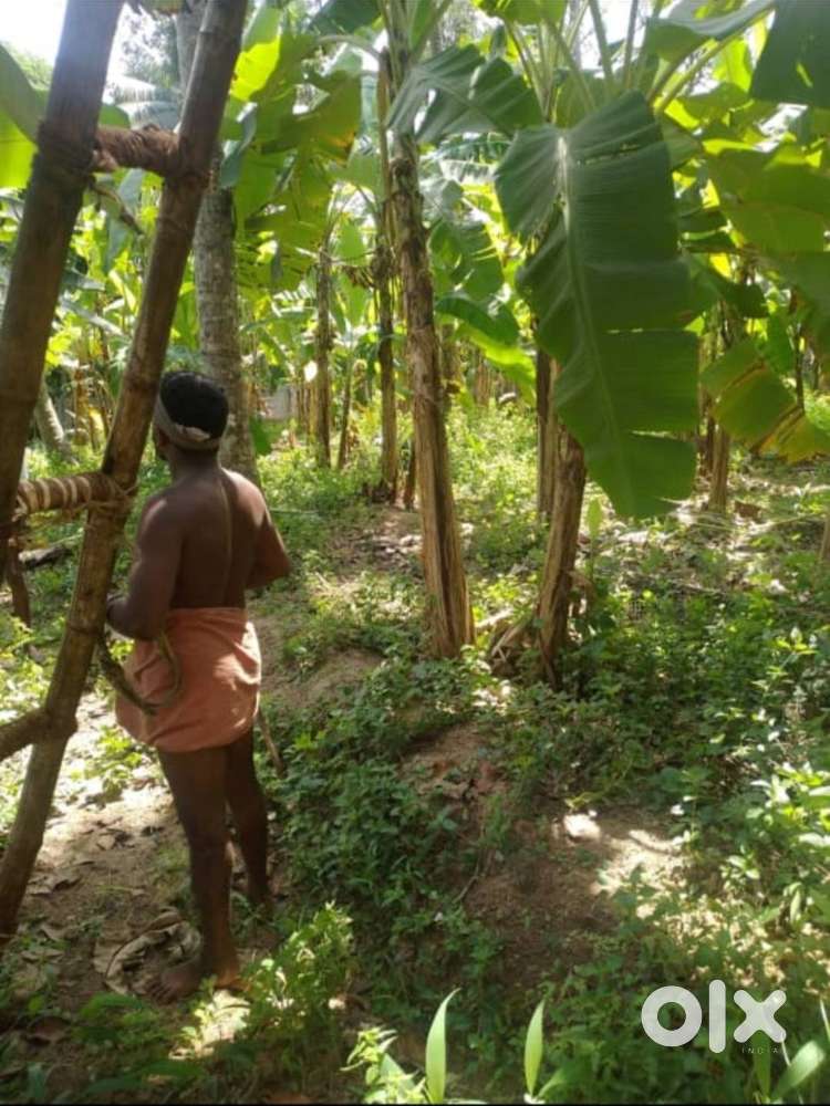 Land for sale near vizhinjam International sea port