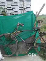 2 cycles new