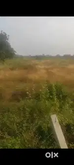 Open agriculture land for sale