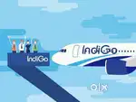 REQUIRMENT AVAILABLE IN INDIGO AIRLINE COMPANY FOR FRESHERS/EXPERIENCE