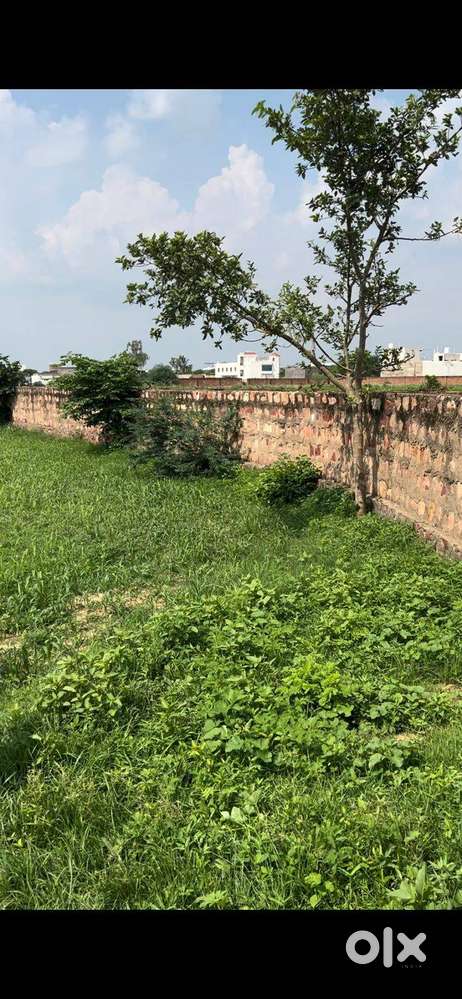 2.64 Bigha agriculture land for rent/ lease