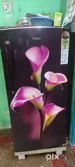Haier single door fridge and tv