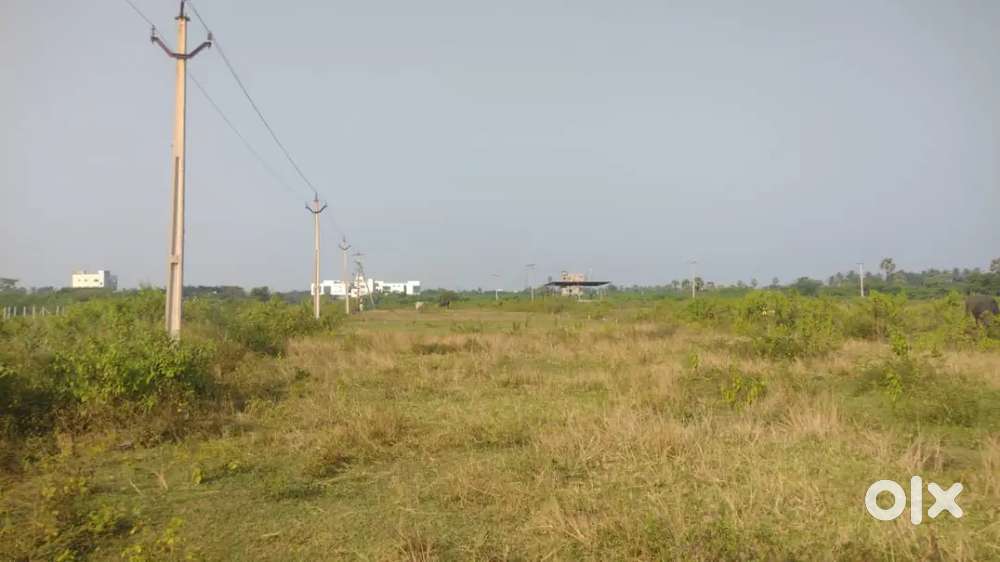 Kolamuru rajahmundry