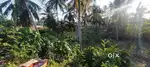 Shasihitlu Land