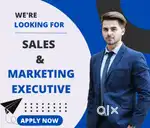 30k income real estate field team manger role