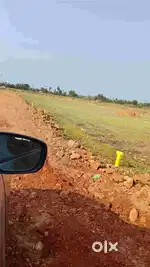 పామర్రు ఇళ్ళ మద్యలో స్థలాలు గజము ₹4999/- మాత్రమే(హైవే కి దగ్గర గా కలదు