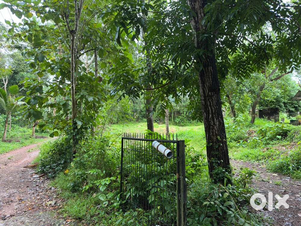2 minute drive from royal hospital