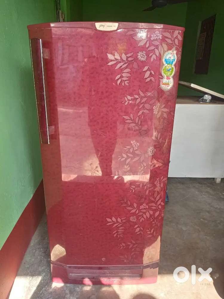 Godrej 195 liter Sigel door New