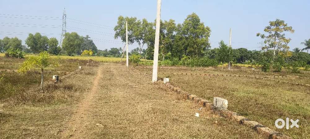 Investment/ housing plotting project location bhubaneswar to Puri rod