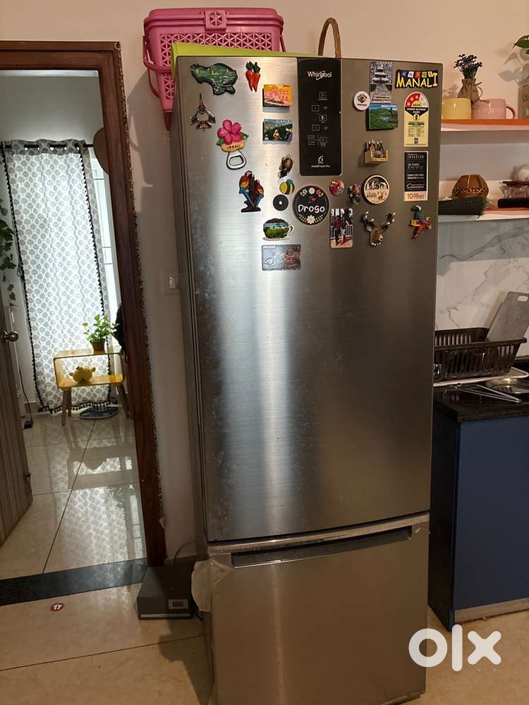 Double door freezer bottom mounted