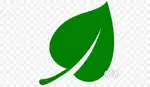 Required software developers frehers