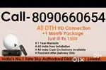 #DHAMAKA OFFER# ALL DTH CONNECTION#2024 #AIRTEL# DISH TV