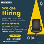 Sales executive