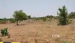DTCP PLOT FOR SALE NEAR SHADNAGAR, SHAMSHABAD OUTSKIRTS.