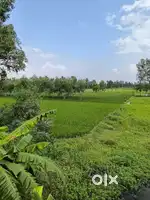 10 बीघा खेत बिक्री हेतु,चिन्ता वाली मढिया,निकट धारक नगला रोड,मुरादाबाद