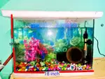 Good condition aquarium for sale