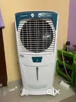 Crompton 75 L Desert Air Cooler