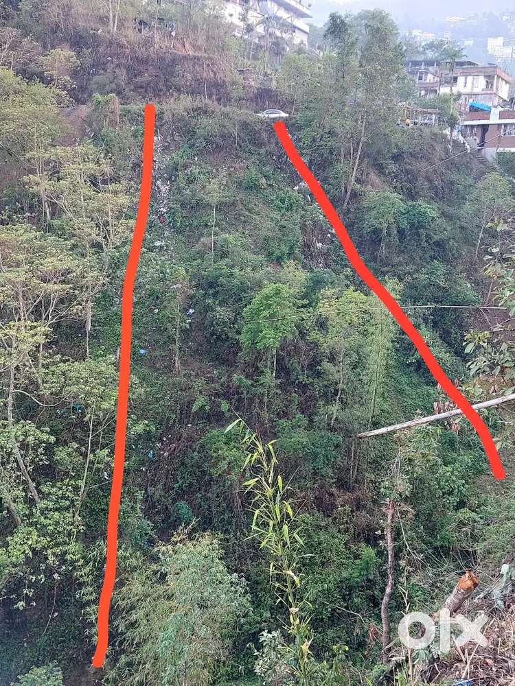 AG colony kohima, near model hr. Sec school kohima