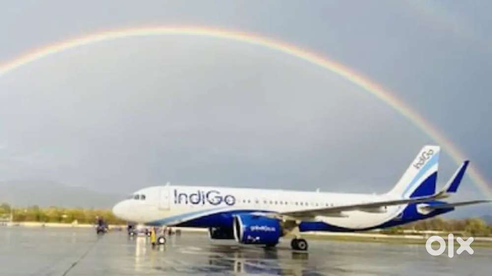 Indigo Airlines jobs /Vacancy for Airport Ground staf / Driver / Crew