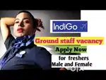 Hiring for Domestic and International Airport Jobs urgent apply.