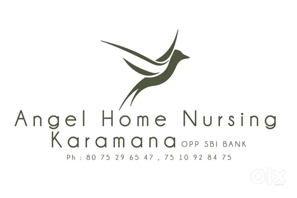 Home nursing / House keeping / House Jbs