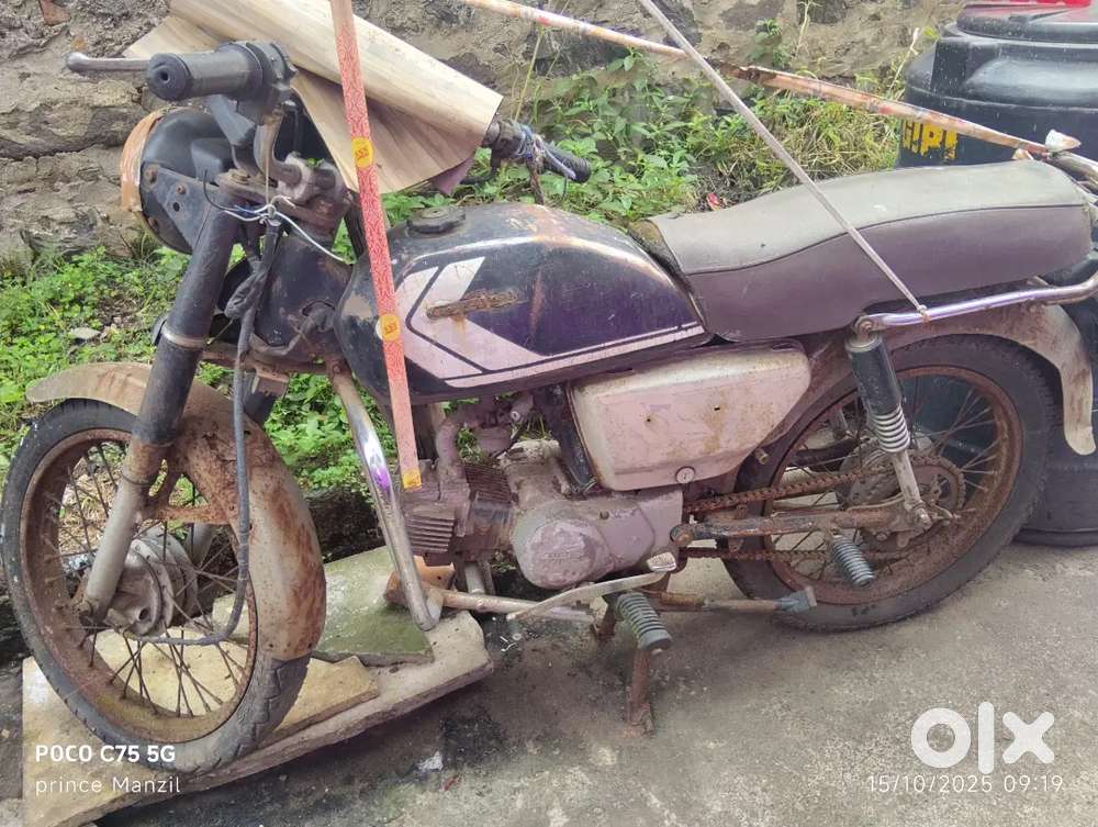 CD 100 Old