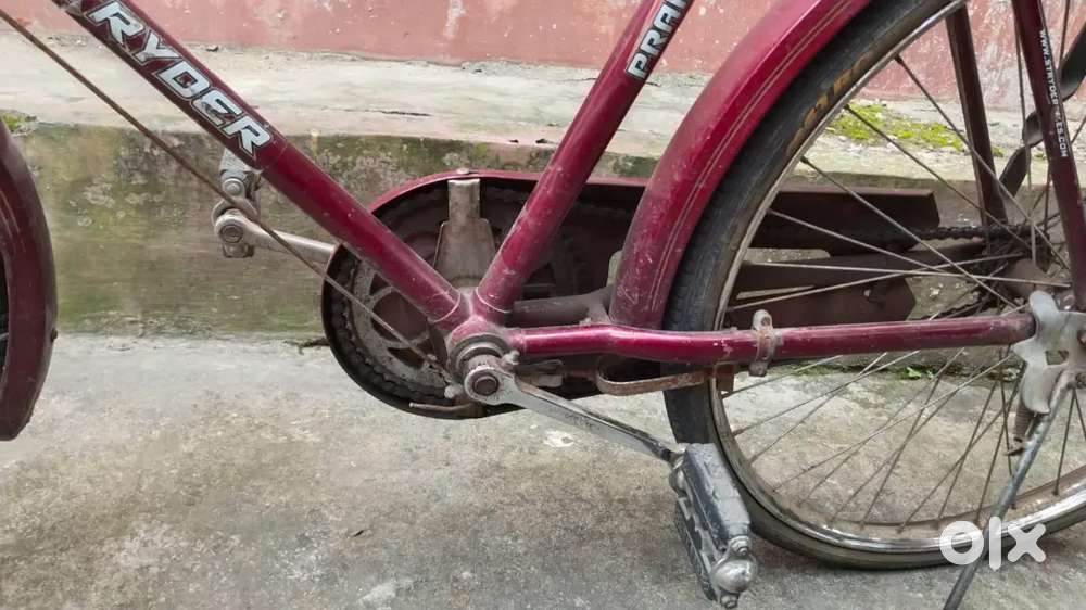 Tata cycle