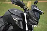 Yamaha FZ25 (250 CC)