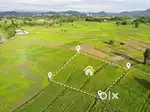 Land for sale at Azara