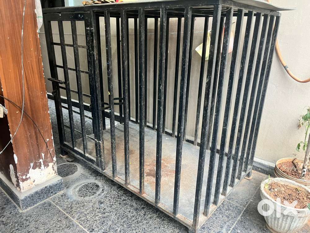 Big dog cage