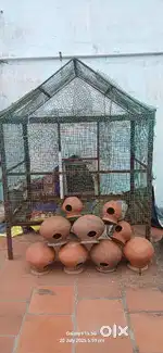 Birds Cage and Free  9 Pots