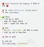 Sales executive