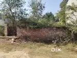 Urgent plot for sale in hasemau, Gomti Nagar Extension