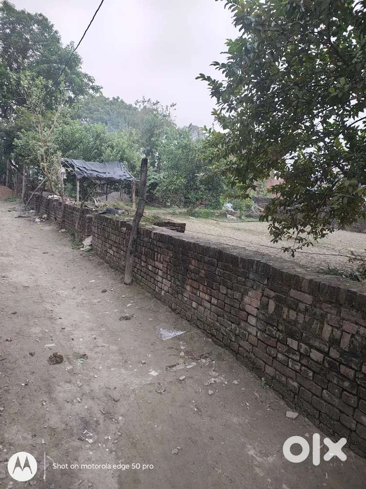 Plot – 930 Sq Yard – Shukla Ganj तुरंत रजिस्ट्री और कब्जा उपलब्ध