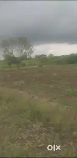 agriplot 3.14acres near to pune solapur highway indapur,bhadalwadi