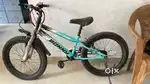 BRAND NEW CYCLE 10 to 14 years Low price