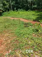 Empty plot 16 cent