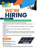 Lead Executive - Sales Performance Manager International