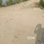 आनंद लोक बी