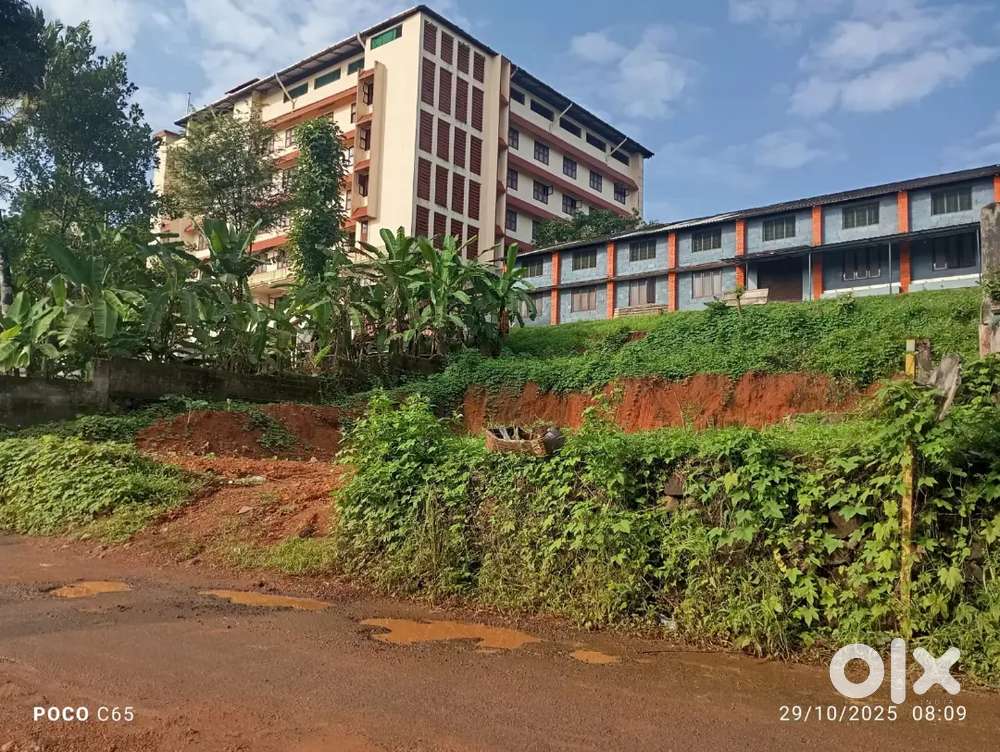 14 cent square  for sale