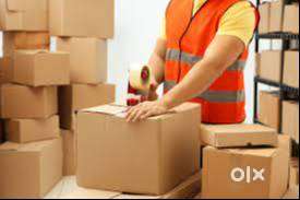 Ecommerce working office required Computer Operator