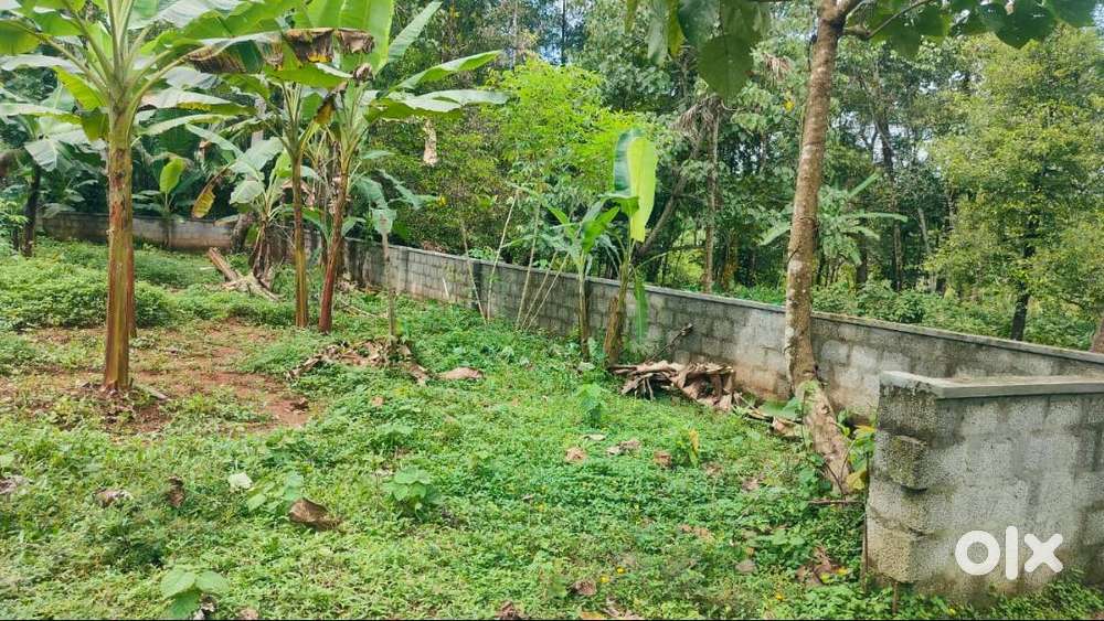 4 Cents of Residential Property in Edapally.