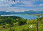 Premium Farmhouse and Resort plots for sale.