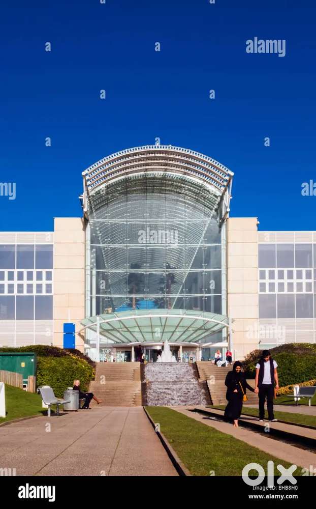 आठवीं कक्षा 12 फ्रेशर्स और एक्सपीरियंस लड़के लड़कियां चाहिए शॉपिंग मॉल