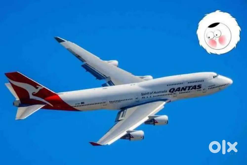 Want Office Assistant cum P.A