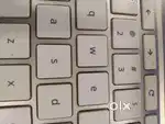 Software Developer