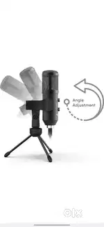 Microphone