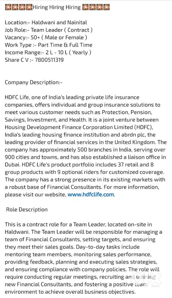 INSURANCE Team Leader