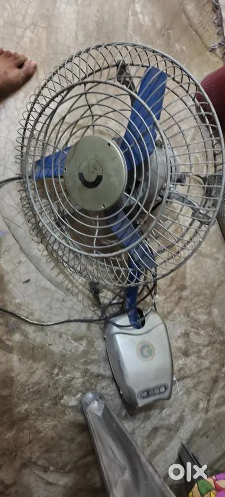 COMERCIAL FAN