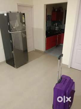 Need a Flatmate